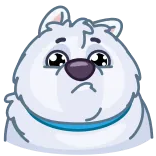 😭 북극곰, 슬픈, 동물, 만화, 귀여운, 스티커 whatsapp sticker