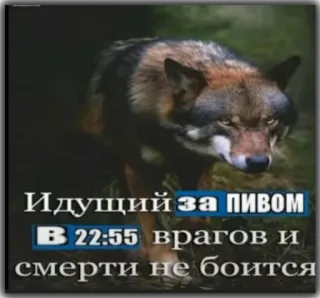 👊 Идущий за ПИВОМ 
В 22:55 врагов и смерти не боится Wolf, Tier, Bier, Nacht, Text telegram sticker