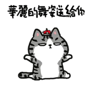 😎 想得美呢你 mèo, dễ thương, động vật, nhãn dán, phim hoạt hình telegram sticker