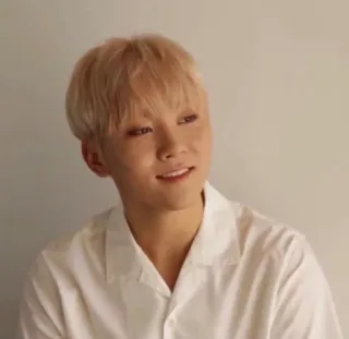☁ person, man, portrait, smile, kpop, celebrity telegram sticker