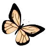 🦋