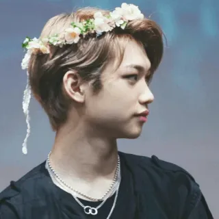 ➖ Felix kpop, idol, corona di fiori, ritratto, maschio, cantante telegram sticker