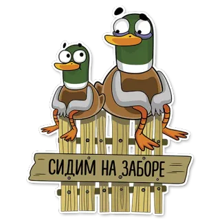 ⏰ СИДИМ НА ЗАБОРЕ kaczka, ogrodzenie, rosyjski, kreskówka, naklejka telegram sticker