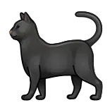 🐈⬛