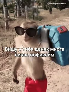 🌟 Вишу у тебя деняк многа
сичас пофиксим Affe, Sonnenbrille, Geld, Humor, Lustig, Meme telegram sticker