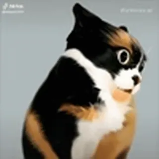 😳