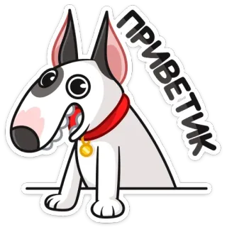 👋 ПРИВЕТИК собака, мультфильм, бультерьер, привет, питомец whatsapp sticker
