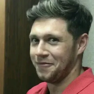 😯 Niall Horan singer, celebrity, portrait, person, man telegram sticker