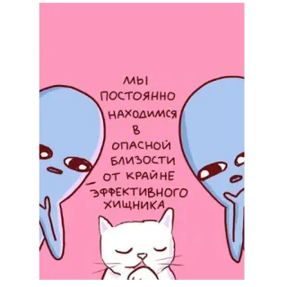 😱 МЫ ПОСТОЯННО НАХОДИМСЯ В ОПАСНОЙ БЛИЗОСТИ ОТ КРАЙНЕ ЭФФЕКТИВНОГО ХИЩНИКА 外星人, 猫, 幽默, 表情包, 可爱, 贴纸 telegram sticker
