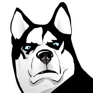 ☹️ chó, husky, trắng đen, thú cưng, động vật telegram sticker