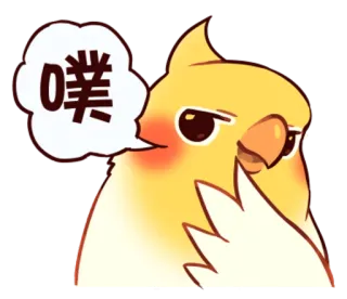 😏 噗 oiseau, perroquet, perruche, animal, dessin animé, mignon, bulle de dialogue whatsapp sticker