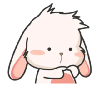 🍣 conejo, conejito, lindo, animal, dibujos animados, kawaii, adorable whatsapp sticker