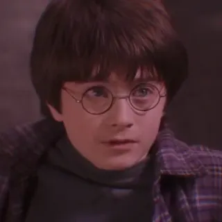 🦁 Harry Potter harry potter, daniel radcliffe, mago, magia, libros, películas whatsapp sticker