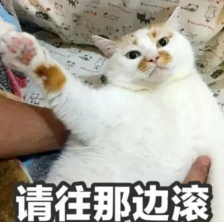 😡 请往那边滚 kucing, teks cina, bergulir, lucu, binatang telegram sticker