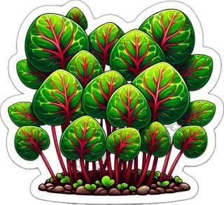 🌱 verdure a foglia, piante, verdure, cibo, giardino, natura, sano whatsapp sticker
