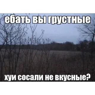 🫥 ебать вы грустные
хуи сосали не вкусные? ofensivo, ruso, insultante, vulgar, meme telegram sticker