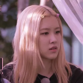 🧸 Rose kpop, роуз, blackpink, певица, знаменитость, женщина whatsapp sticker