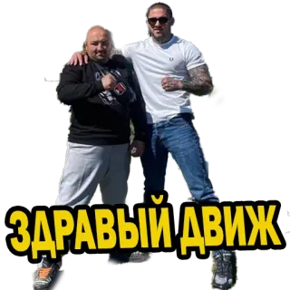 🤝 ЗДРАВЫЙ ДВИЖ whatsapp sticker