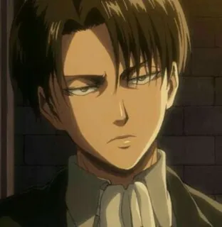 ⚔ Levi Ackerman Attack on Titan Anime, Mangá, Soldado, Sério, Levi whatsapp sticker