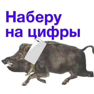 🙇 Наберу на цифры jabalí, animal, teléfono, cadena telegram sticker