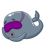 😴 whale, cartoon, sleeping, animal, cute telegram sticker