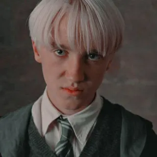 🪐 Draco Malfoy Harry Potter draco malfoy, harry potter, slytherin, bruxo, magia telegram sticker