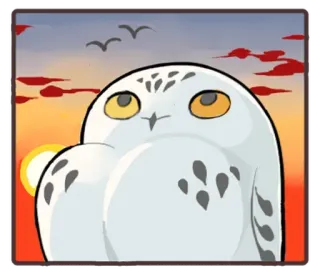 🌇 hibou, oiseau, coucher de soleil, animal, mignon, dessin animé, faune telegram sticker