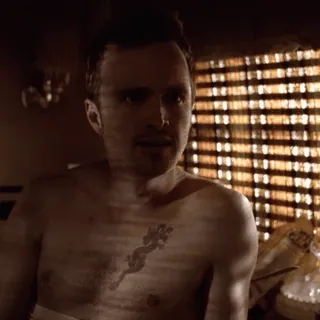 🚬 Jesse Pinkman Breaking Bad jesse pinkman, breaking bad, aaron paul, reaction, tv series, drama, meme telegram sticker