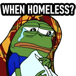 🐸 Pepe the Frog WHEN HOMELESS? żaba, mem, płacz, bezdomny, smutny telegram sticker