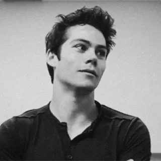 🖇 Dylan O'Brien acteur, portrait, Teen Wolf telegram sticker