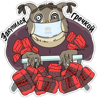 🙀 Закупился Гречкой owl, groceries, buckwheat, shopping, mask, cartoon, russian whatsapp sticker