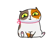😬 고양이, 귀여운, 스티커, 동물, 만화 whatsapp sticker