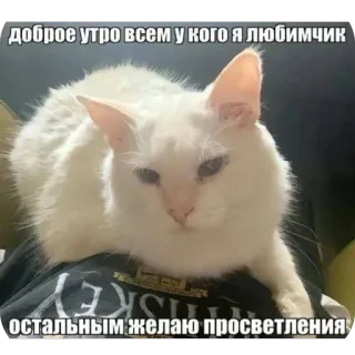 Больше стиков тут: @stikery4 whatsapp stickers