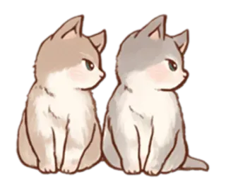😾 chaton, chats, animaux, mignon telegram sticker