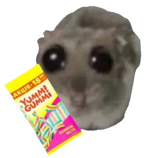 🍬 АКЦІЯ-18
TYMMI
GUMMI 햄스터, 무지개, 사탕, 젤리, 간식, 달콤한 whatsapp sticker