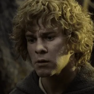 💍 Samwise Gamgee Lord of the Rings Hobbit, Senhor dos Anéis, Fantasia, Personagem, Samwise, Gamgee, Terra-média, Sam whatsapp sticker