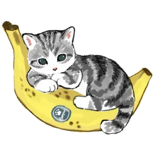 🍌 Bonyun gato, plátano, gatito, lindo, animal, fruta, pegatina whatsapp sticker