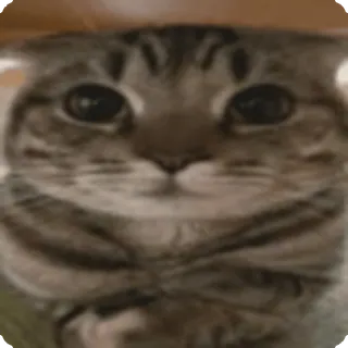 😳