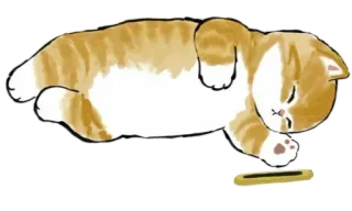 😴 gato, dormindo, fofo, animal, laranja, desenho animado telegram sticker