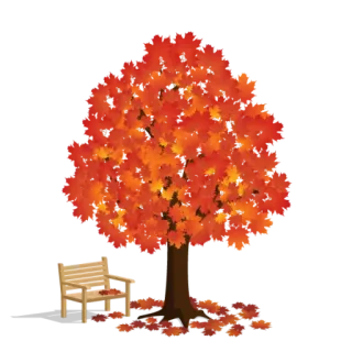🍁 tree, autumn, fall, leaves, bench, nature, seasons telegram sticker
