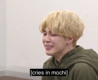 😭 cries in mochi crying, mochi, meme, emotional, sad telegram sticker