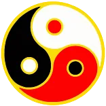 ☯️