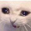 🥺