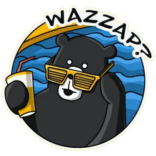 😵 WAZZAP? медведь, солнцезащитные очки, напиток, вазап, приветствие, мультфильм, лето, веселье telegram sticker