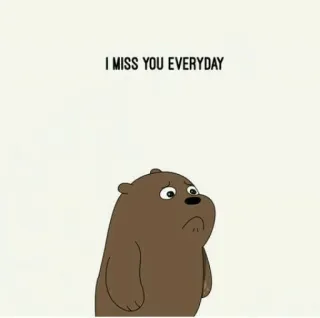 ❤️ I MISS YOU EVERYDAY traurig, vermisse dich, Bär, Cartoon whatsapp sticker
