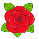 🌹