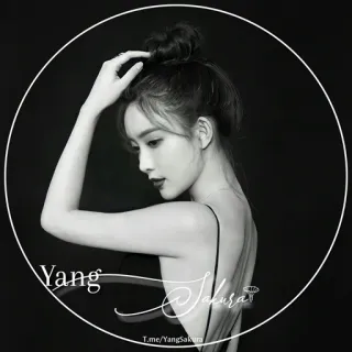 ♾ Yang
@YangSakura
t.me/YangSakura portrait, femme, noir et blanc, beauté telegram sticker