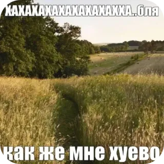 🌾 ХАХАХАХАХАХАХАХАХАХХА..БЛЯ
как же мне хуево 들판, 자연, 풍경, 러시아어, 불쾌한, 욕설, 시골 telegram sticker