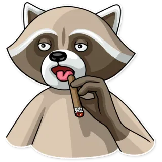 😦 szop pracz, cygaro, palenie, zwierzę, kreskówka, papieros telegram sticker
