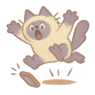 🐈‍⬛ whatsapp sticker